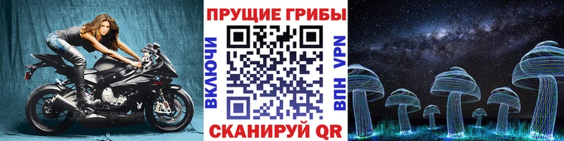 Купить закладки  Жигулёвск  Галлюциногенные грибы Cubensis 